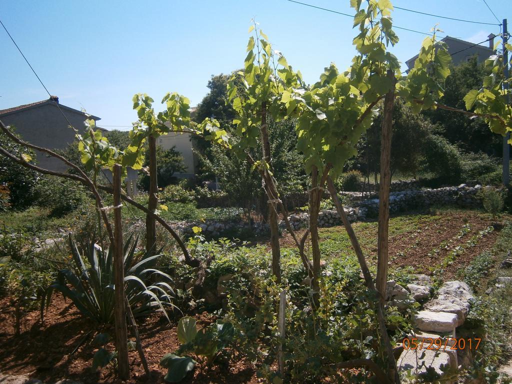 Holiday Home Loznati Cres Exterior foto
